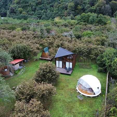 Hotel Dumbo Eco Camp à Ozurget'i Extérieur photo