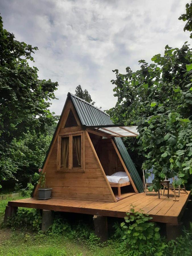 Hotel Dumbo Eco Camp à Ozurget'i Extérieur photo
