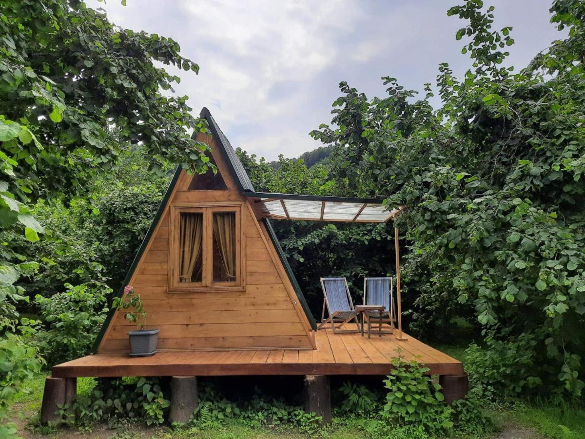 Hotel Dumbo Eco Camp à Ozurget'i Extérieur photo
