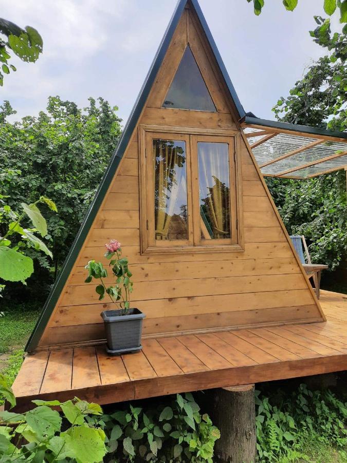 Hotel Dumbo Eco Camp à Ozurget'i Extérieur photo