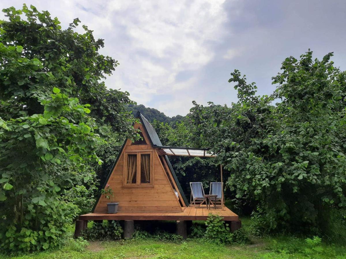 Hotel Dumbo Eco Camp à Ozurget'i Extérieur photo