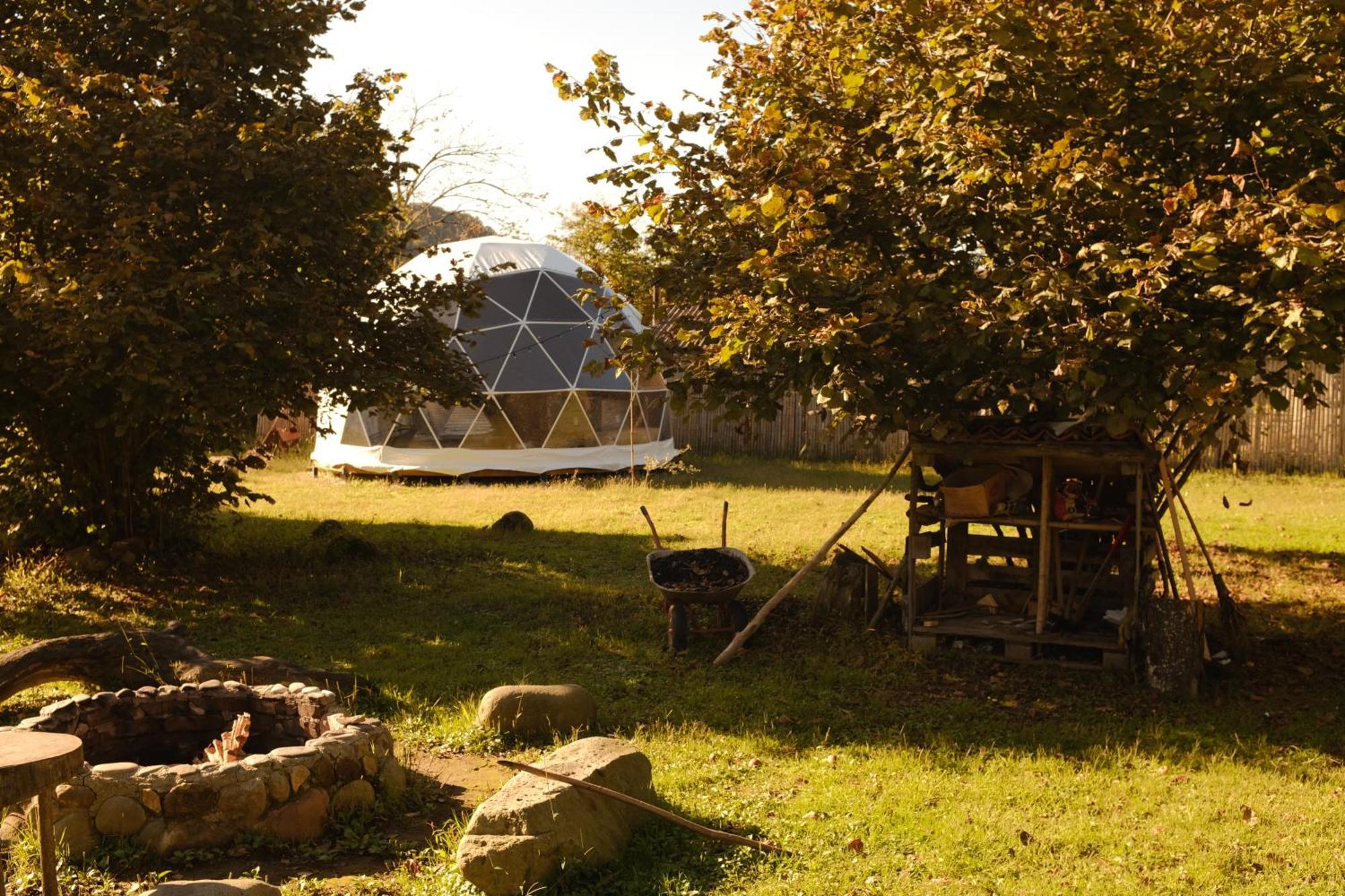 Hotel Dumbo Eco Camp à Ozurget'i Extérieur photo