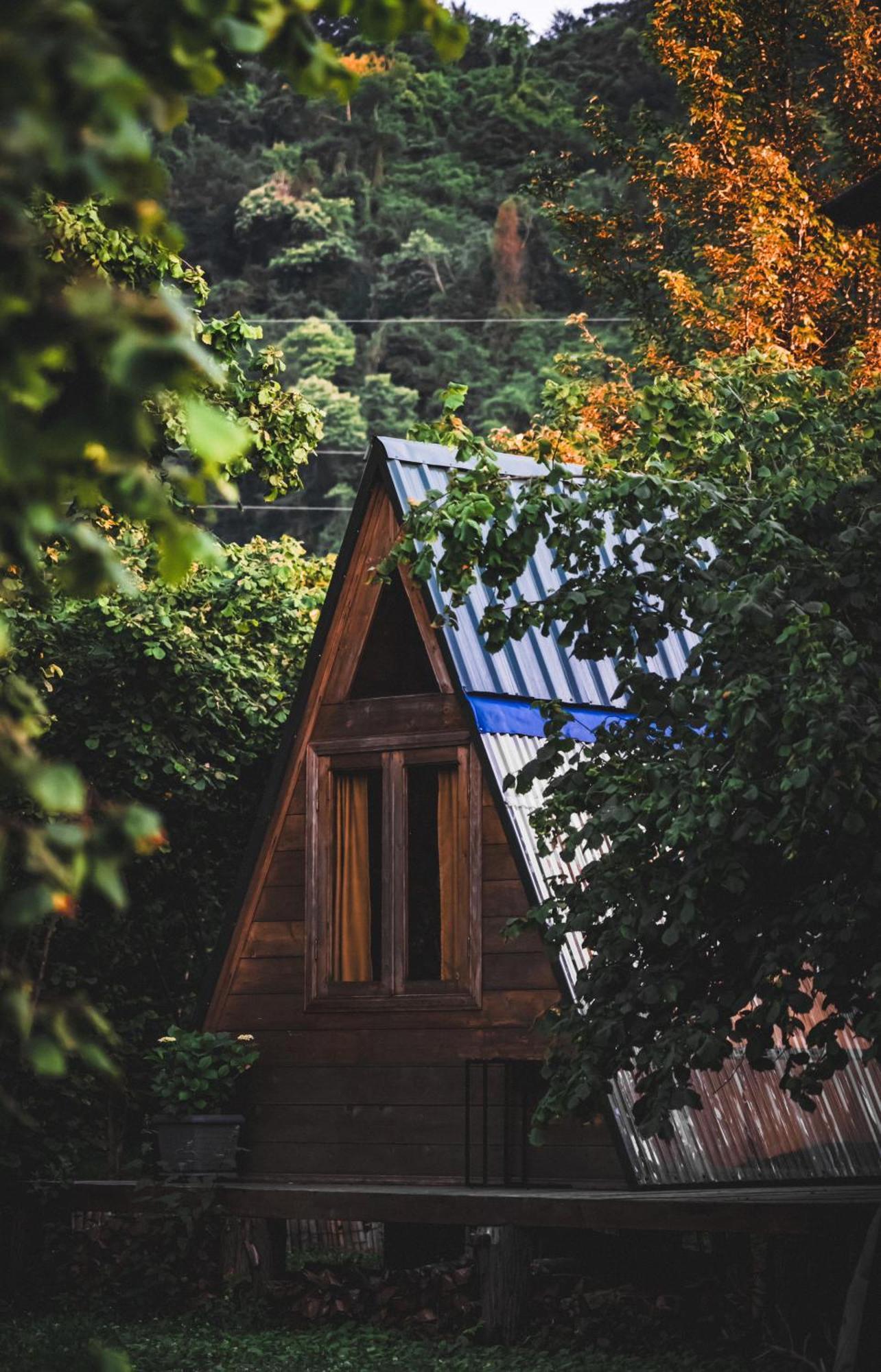 Hotel Dumbo Eco Camp à Ozurget'i Extérieur photo